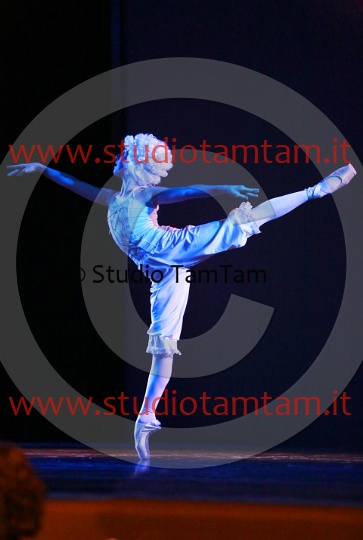 MAT_9104.JPG