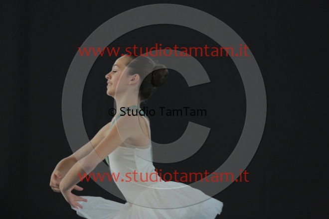 MAT_4779.JPG