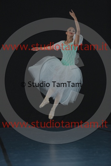 MAT_4801.JPG