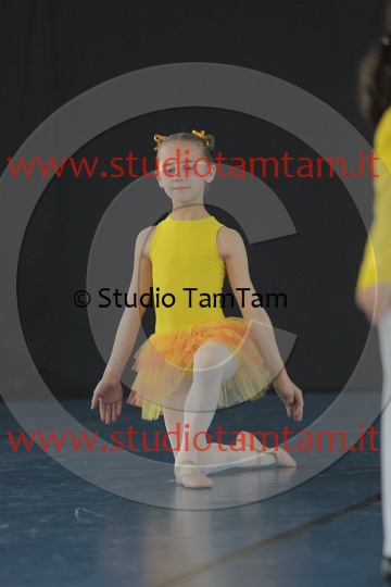 MAT_5082.JPG