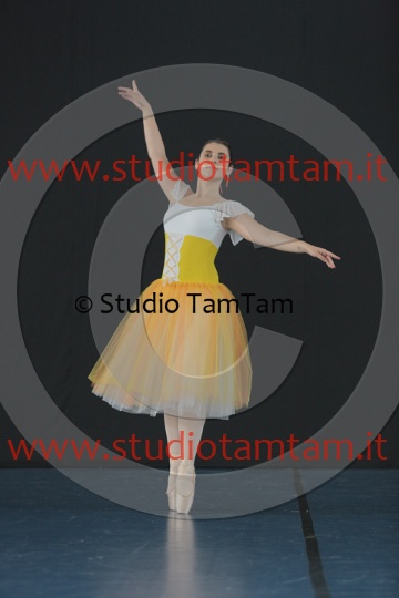 MAT_5290.JPG
