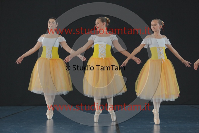MAT_5295.JPG