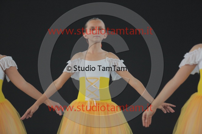 MAT_5297.JPG