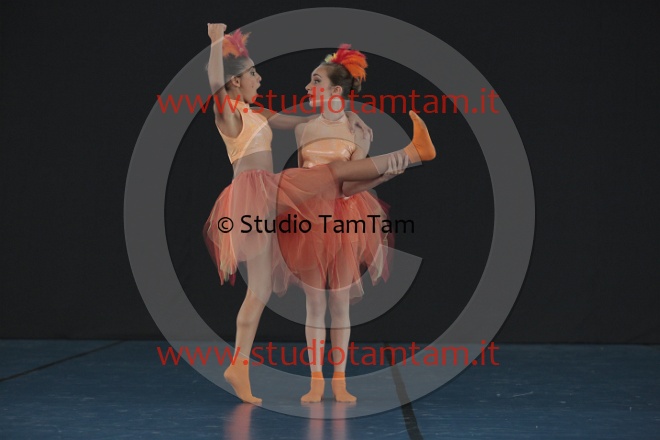 MAT_5434.JPG