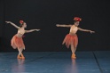 MAT_5448