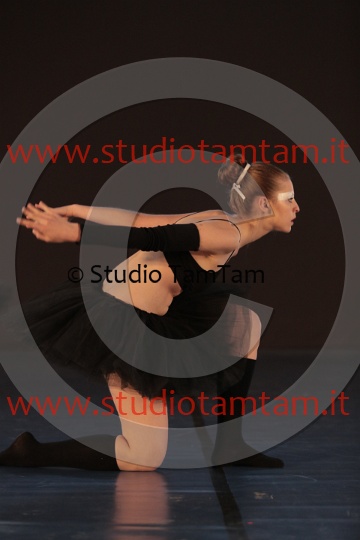 MAT_6029.JPG