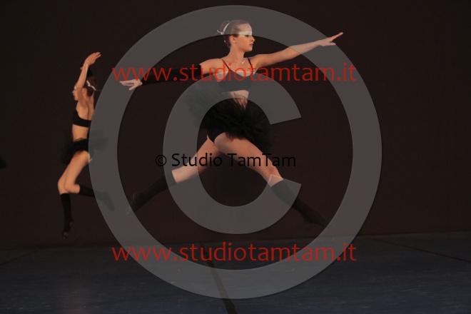 MAT_6030.JPG