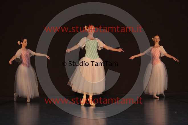 MAT_6162.JPG