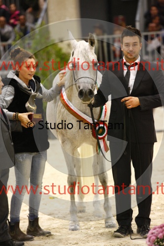 _MG_3775.jpg