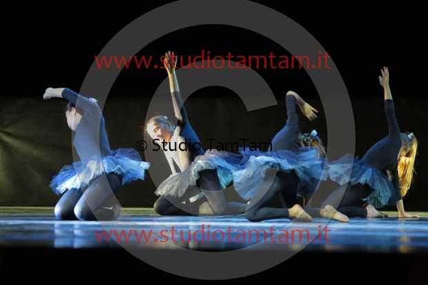 MAT_3359.JPG