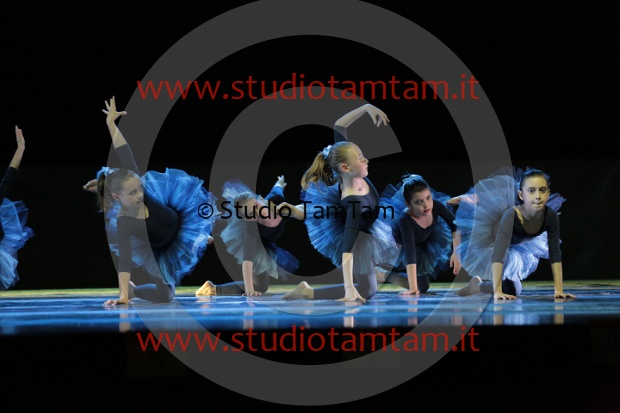 MAT_3367.JPG