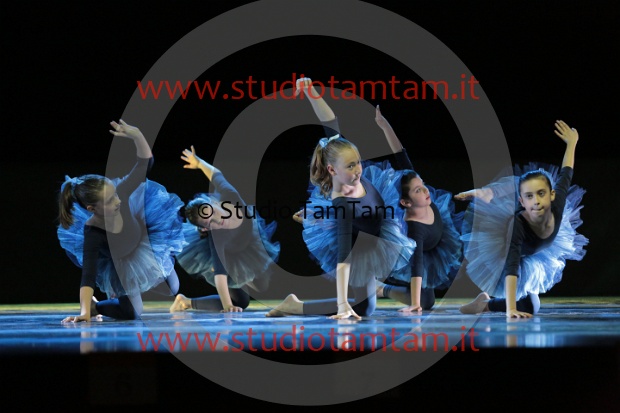 MAT_3369.JPG