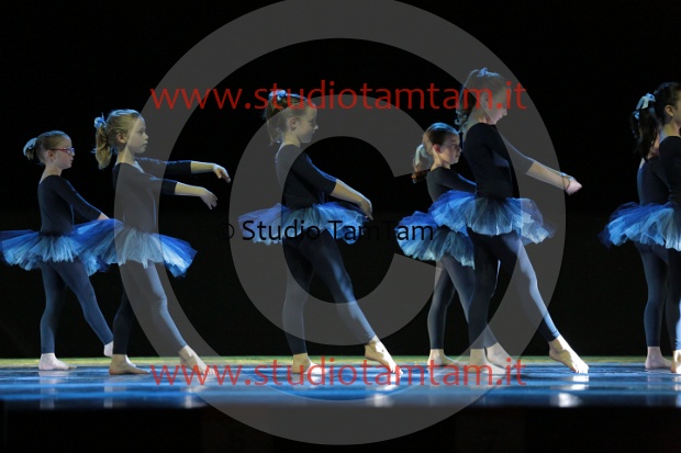 MAT_3383.JPG