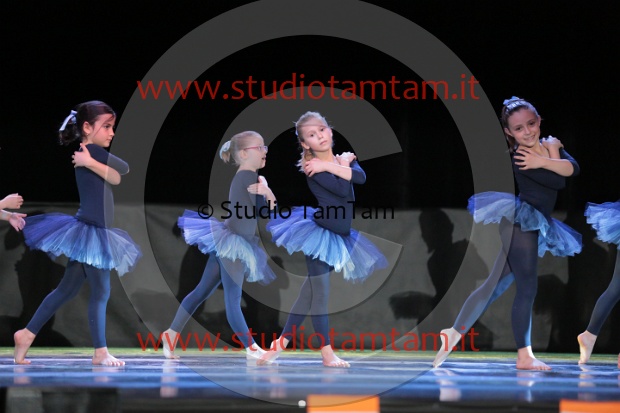 MAT_3389.JPG