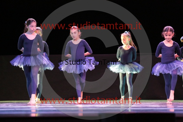 MAT_3394.JPG