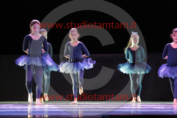 MAT_3395.JPG
