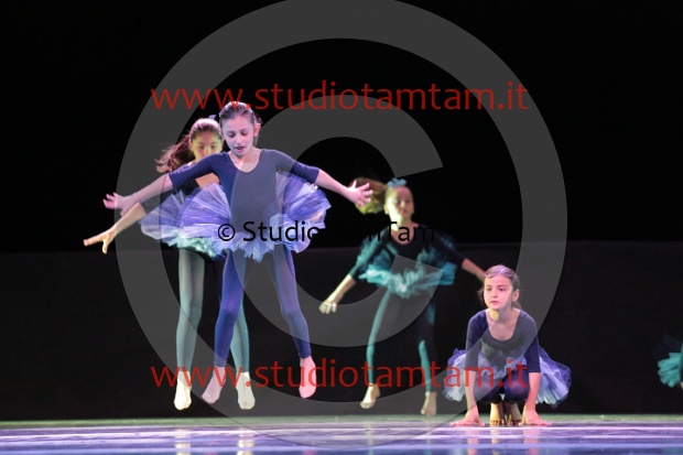 MAT_3399.JPG