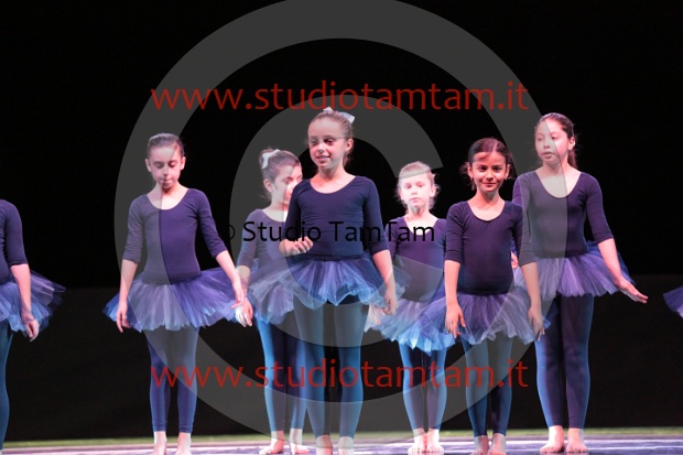 MAT_3434.JPG