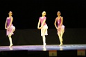 MAT_3455