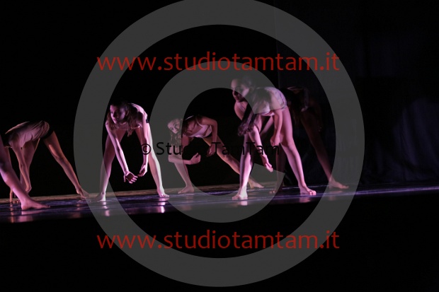 MAT_3497.JPG