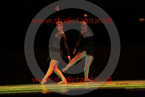 MAT_3556.JPG