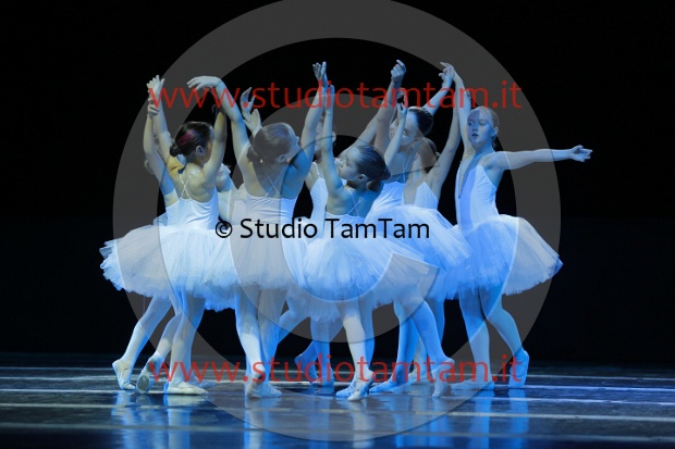 MAT_5367.JPG