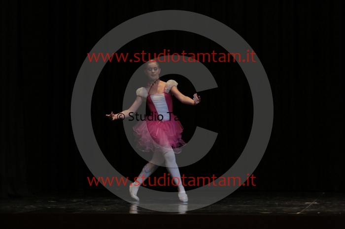 MAT_6831.JPG