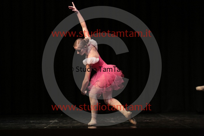 MAT_6838.JPG