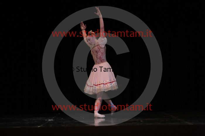 MAT_7917.JPG