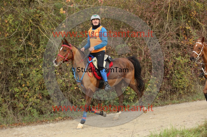 MAT_9895.JPG