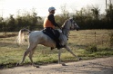 MAT_9432