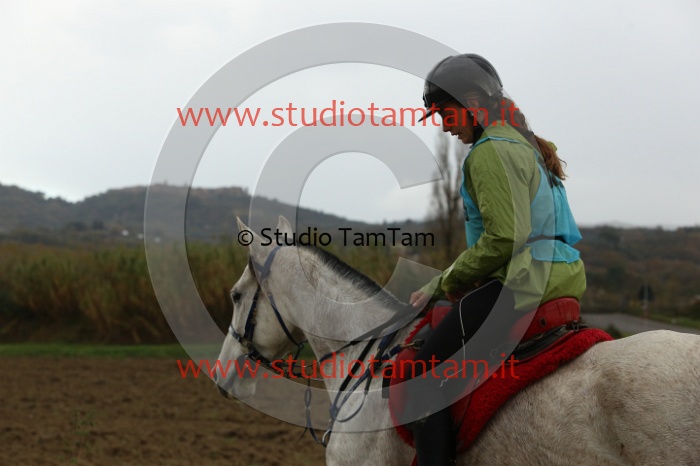 MAT_0244.JPG