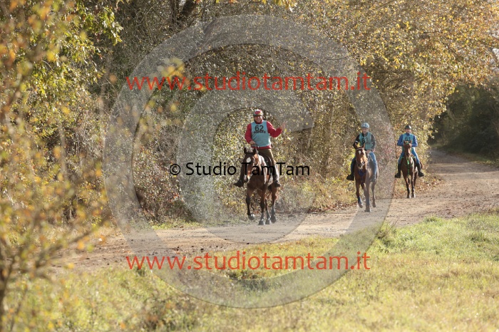 MAT_9587.JPG