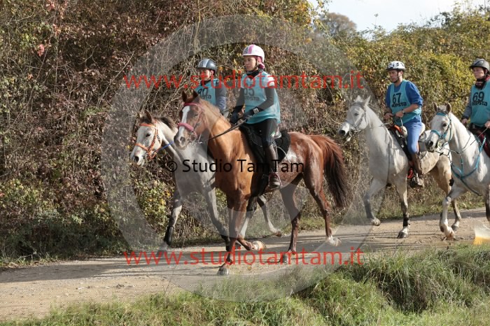 MAT_9658.JPG