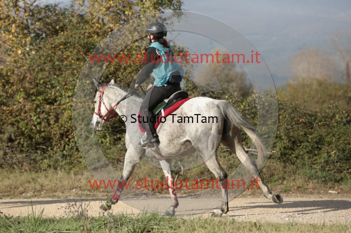 MAT_9727.JPG
