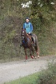 MAT_9772