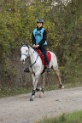 MAT_9808