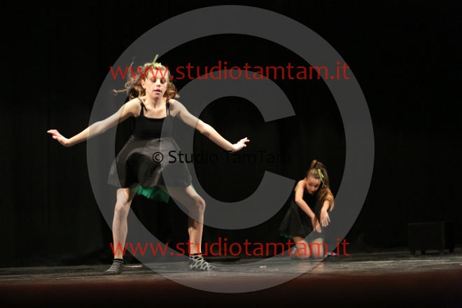 MAT_1310.JPG