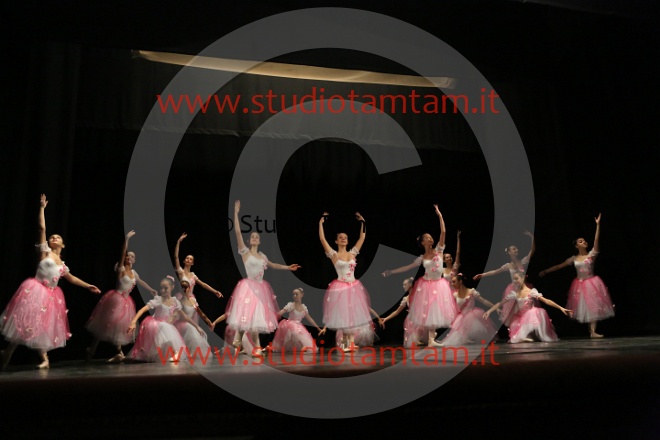 MAT_1351.JPG
