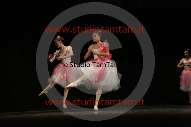 MAT_1407.JPG