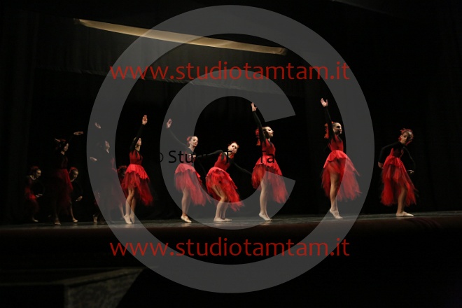 MAT_1601.JPG