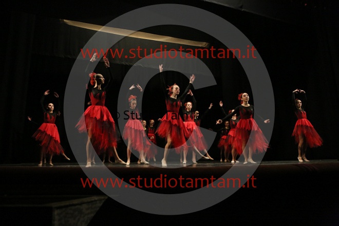 MAT_1623.JPG