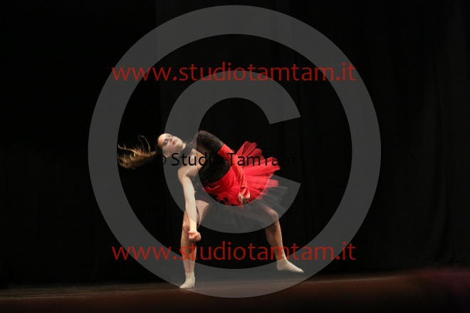 MAT_2767.JPG