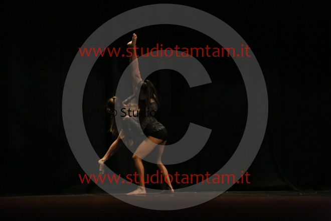 MAT_3882.JPG