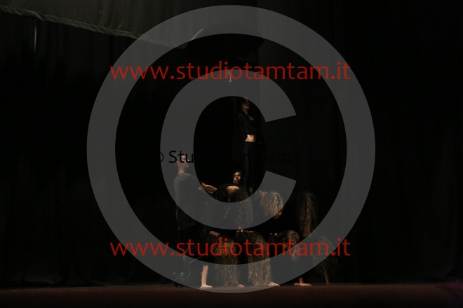 MAT_4781.JPG