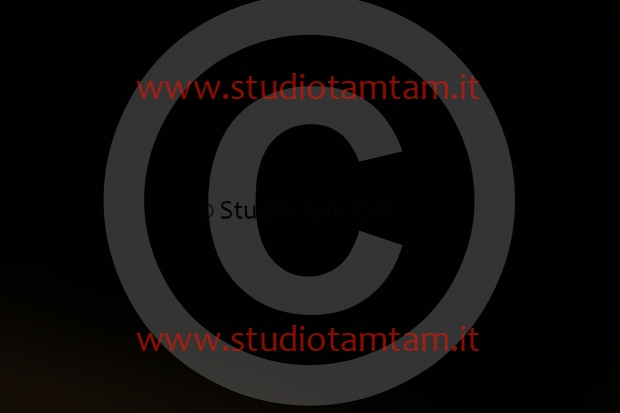 MAT_8929.JPG
