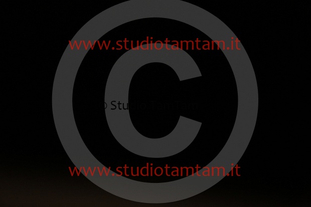 MAT_9435.JPG