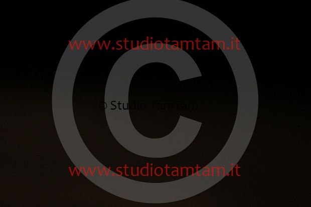 MAT_9815.JPG