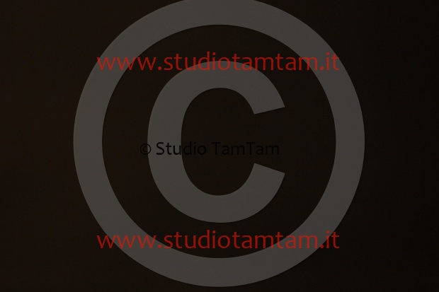 MAT_9816.JPG