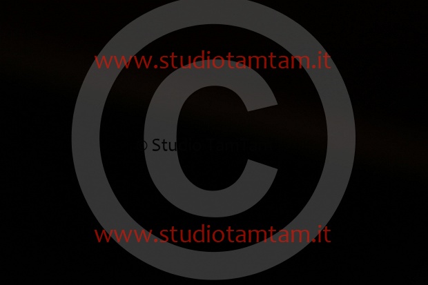 MAT_9727.JPG